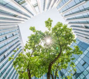 Environmental Services
